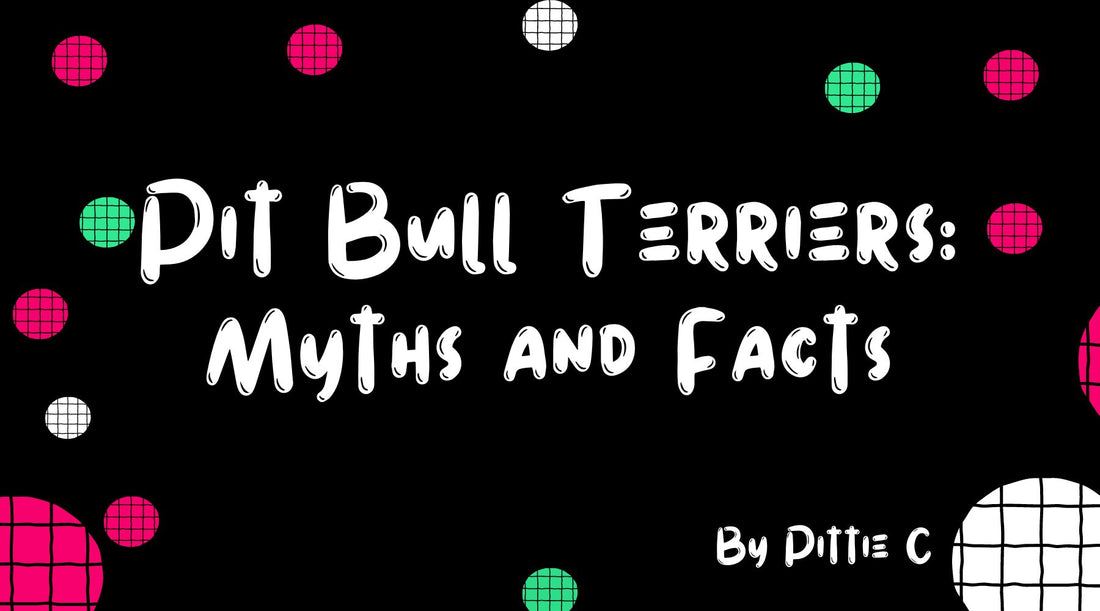 The Truth About Pit Bull Terriers: Myths and Facts