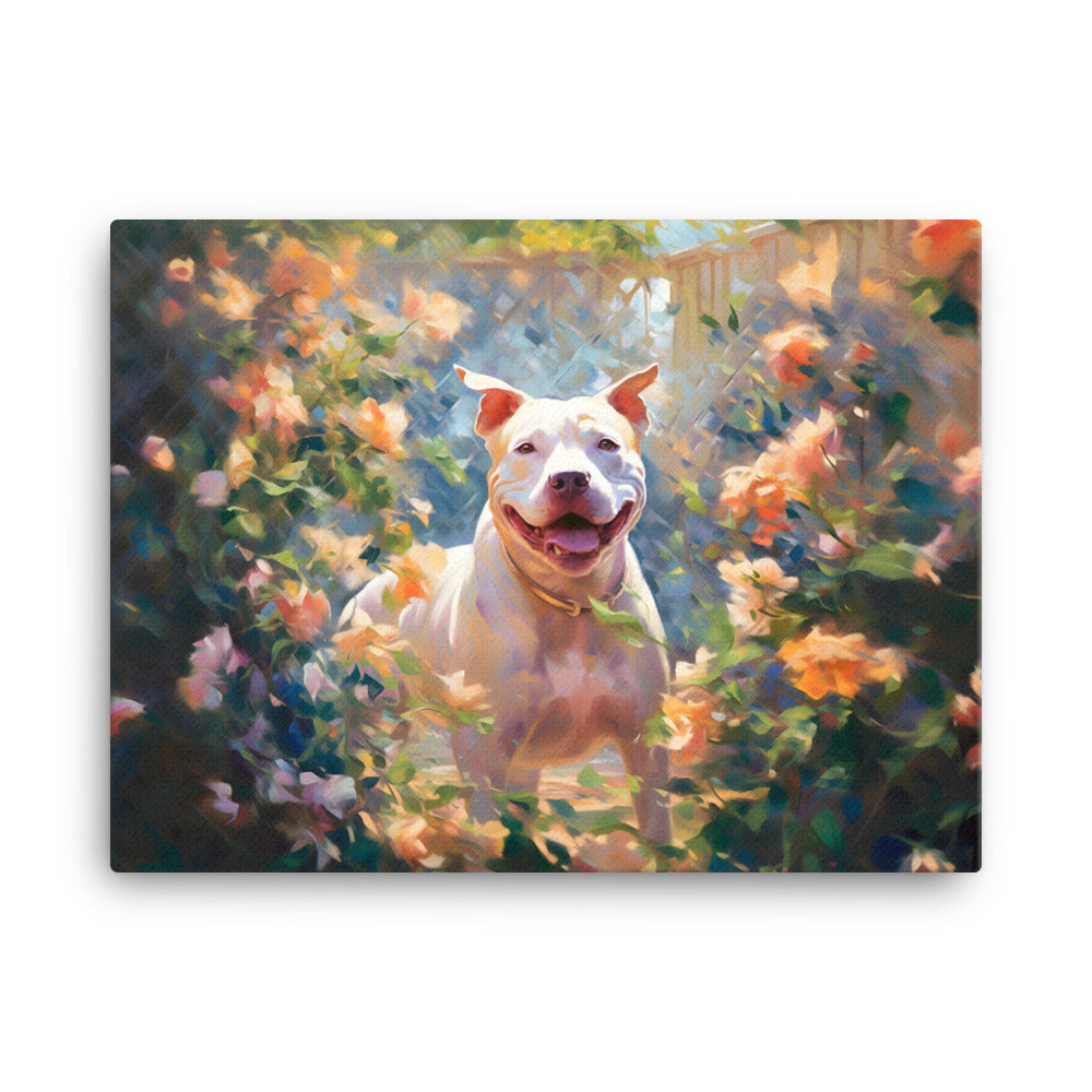 "Sunlit Smile" - Smiling Pitbull Canvas Art - Pittie Choy